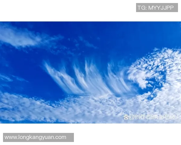 小鸟球的奇妙冒险：探索天空与大地的友谊之旅