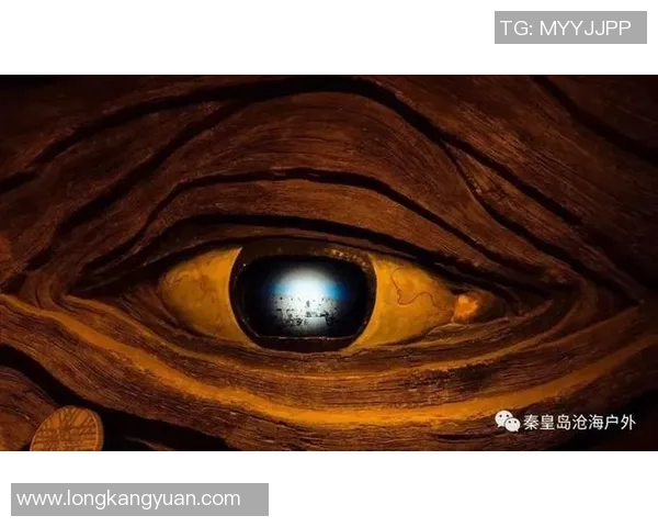 梦想与银星的交汇点:2017年追寻与成就的故事 梦想与银星的交汇点:2017年追寻与成就的故事